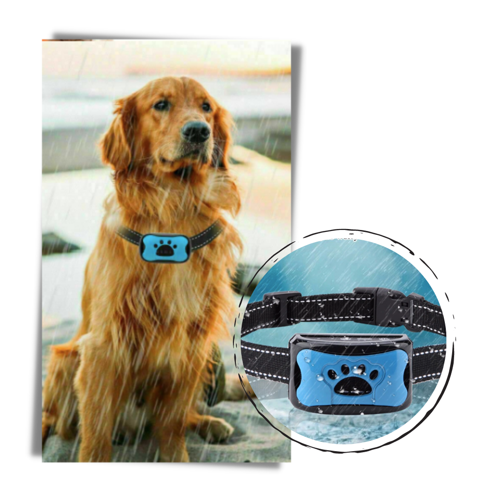 Collar anti ladridos ajustable para perros
