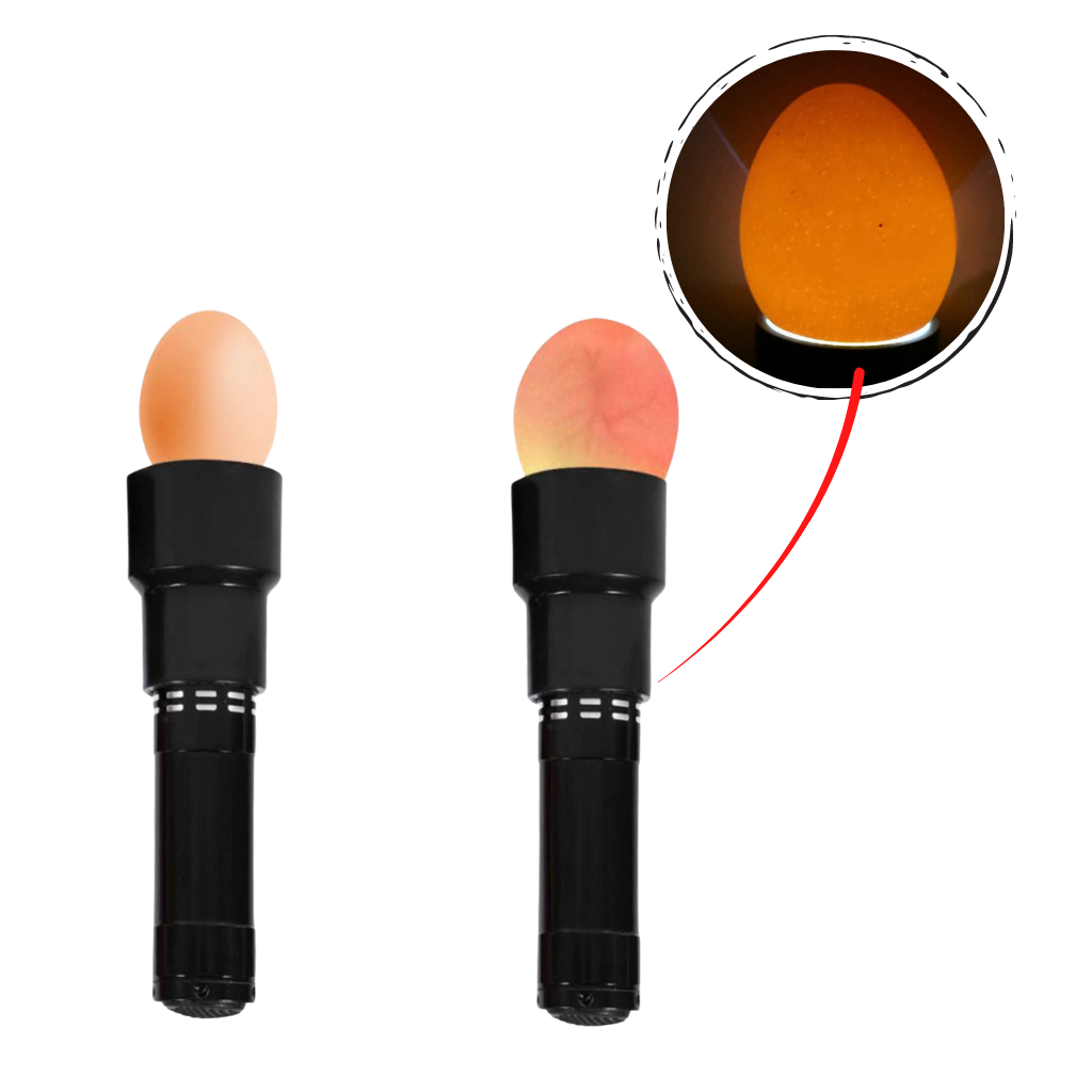 Examinador de fertilidad de huevos