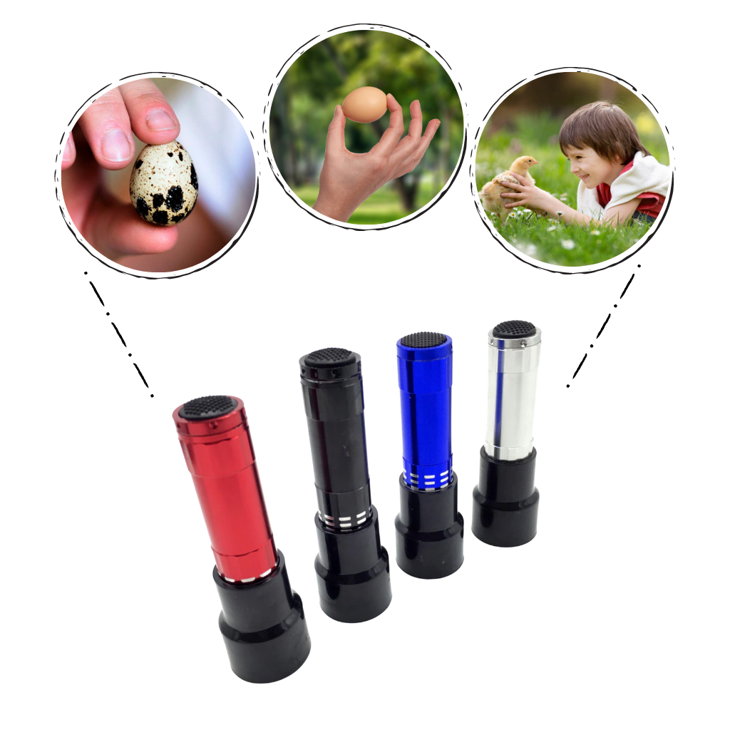 Examinador de fertilidad de huevos