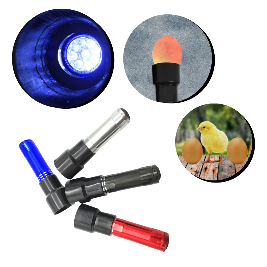 Examinador de fertilidad de huevos