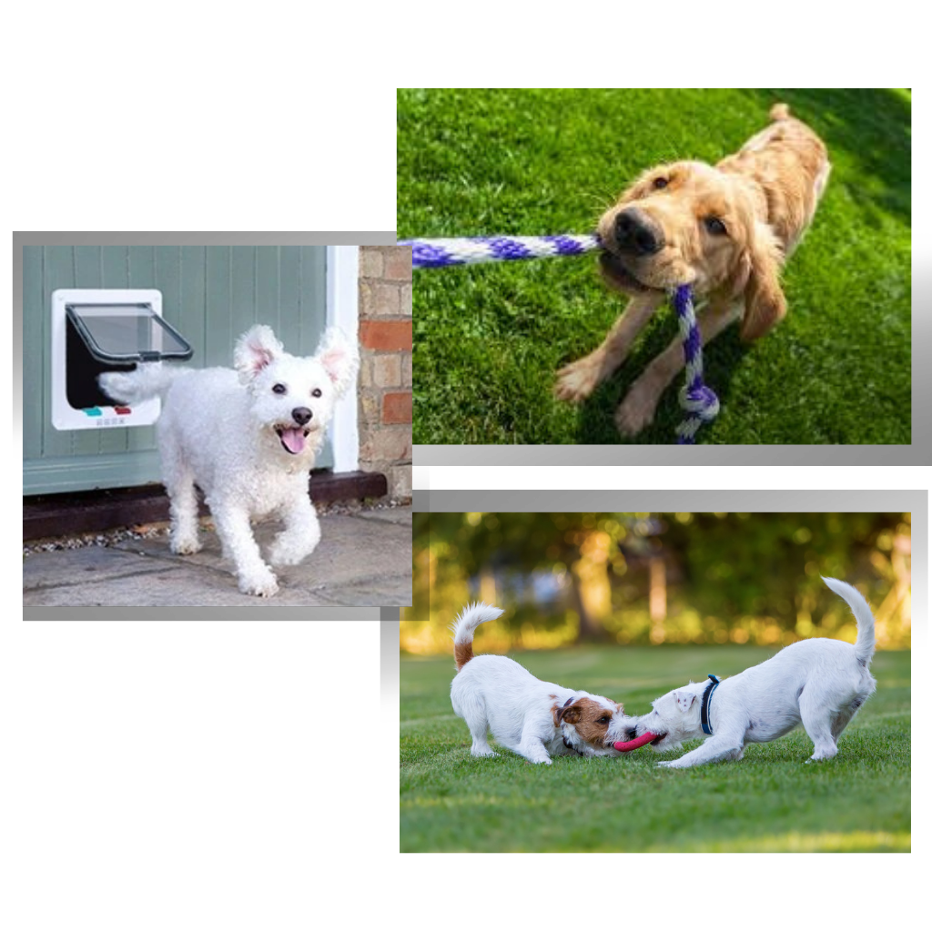 Puerta con solapa para gatos - Ozerty