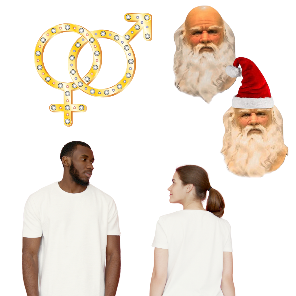 Máscara de Papá Noel cosplay - Ozerty