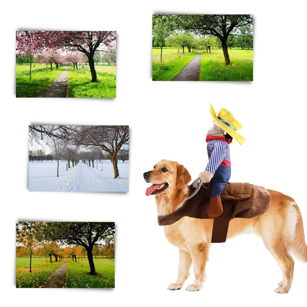 Disfraz de vaquero para perro - Ozerty