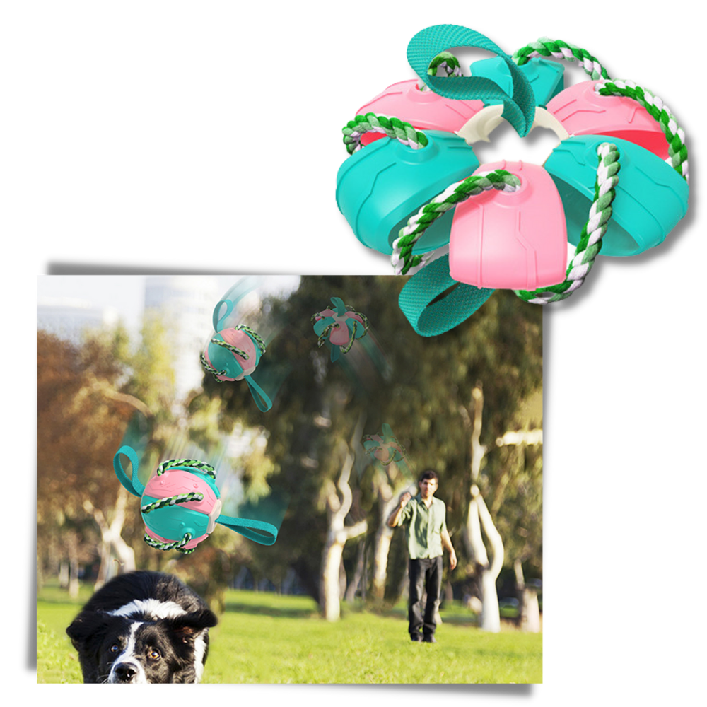 Juguete para perros con bola frisbee - Ozerty