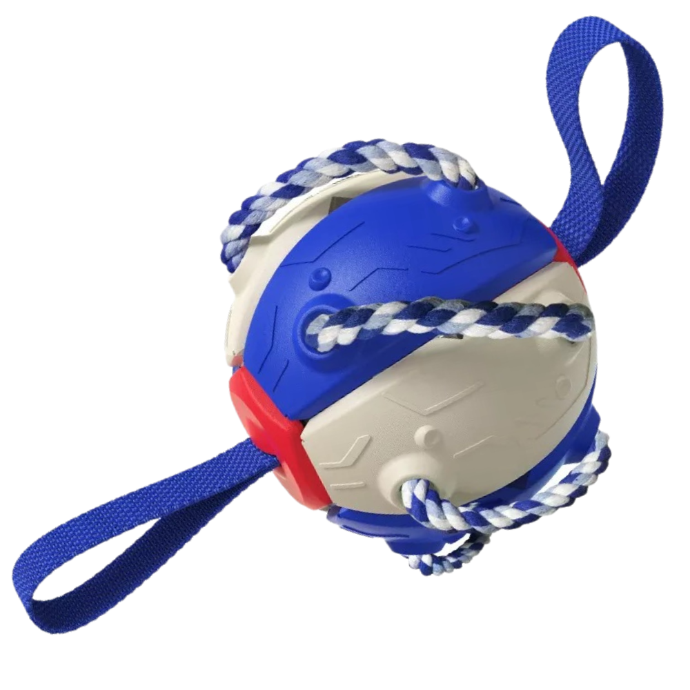 Juguete para perros con bola frisbee - Ozerty