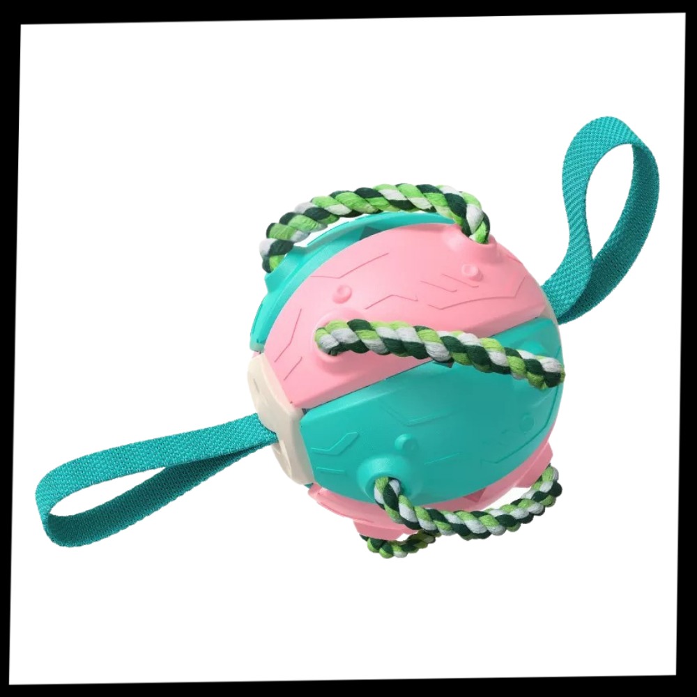 Juguete para perros con bola frisbee - Ozerty