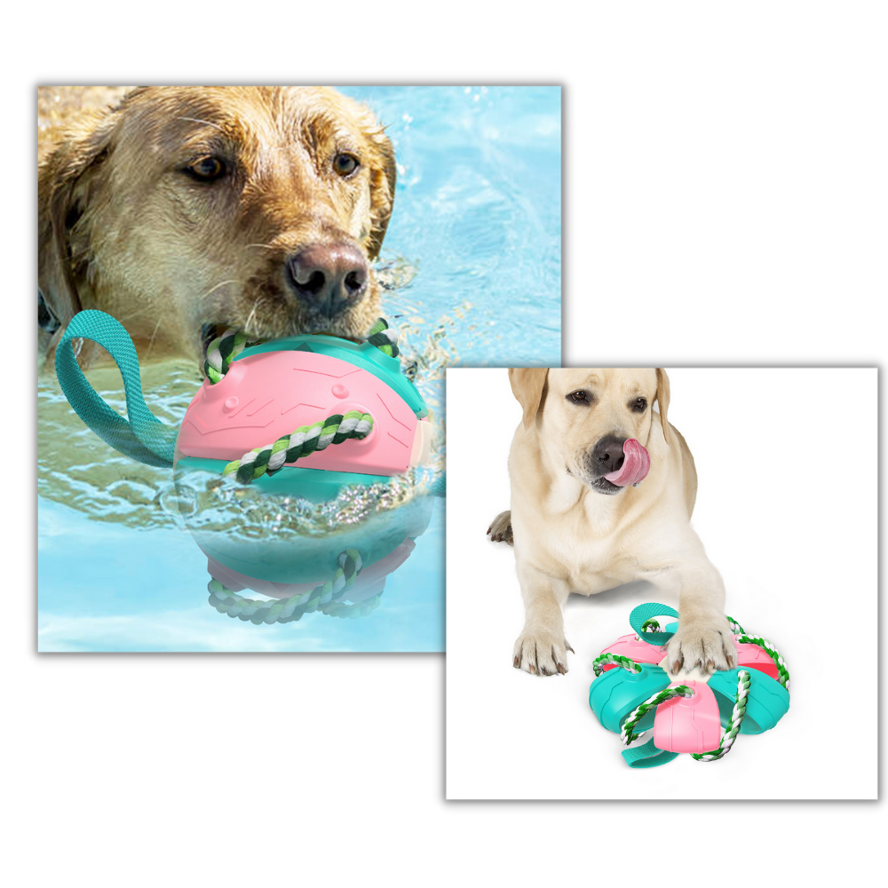 Juguete para perros con bola frisbee - Ozerty