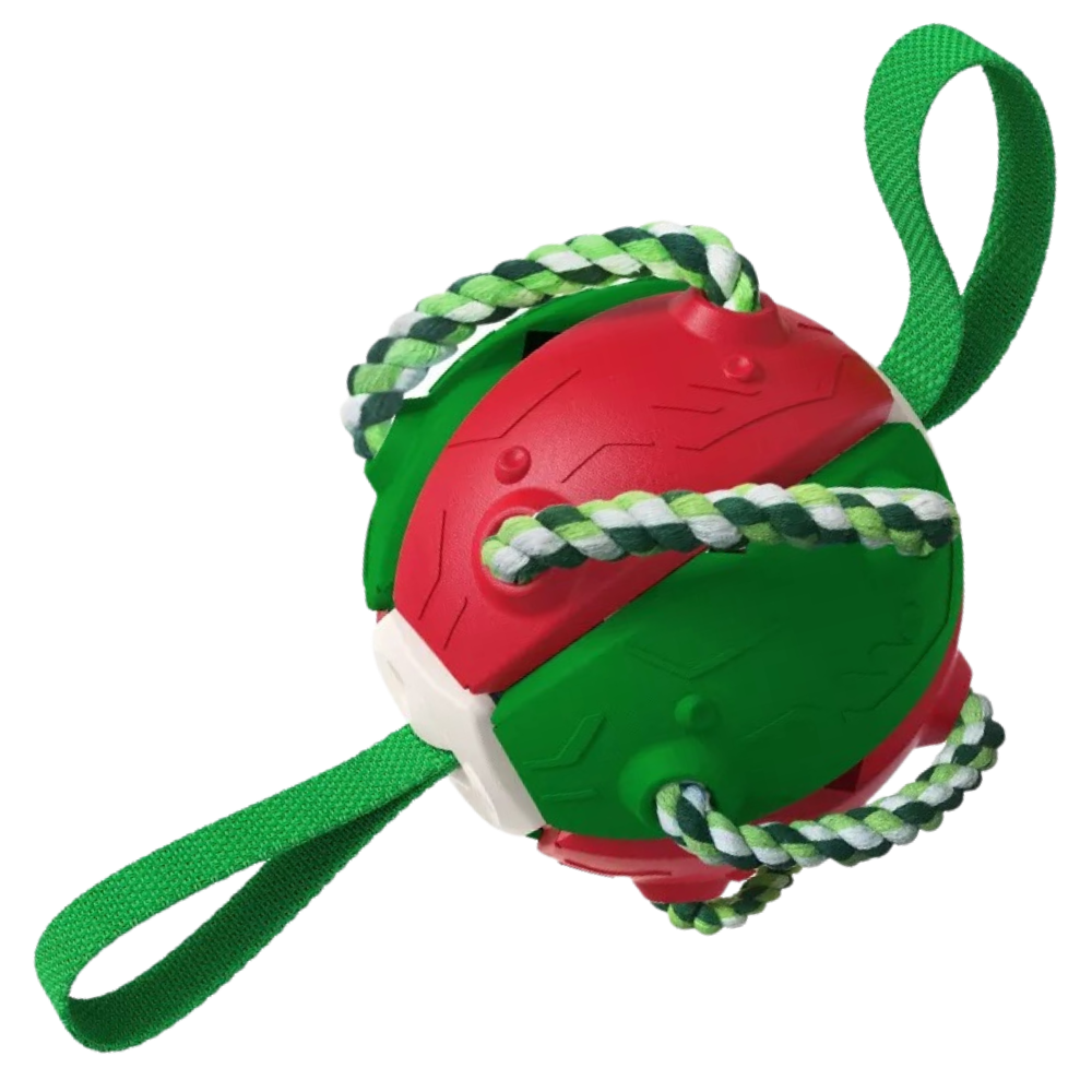 Juguete para perros con bola frisbee
