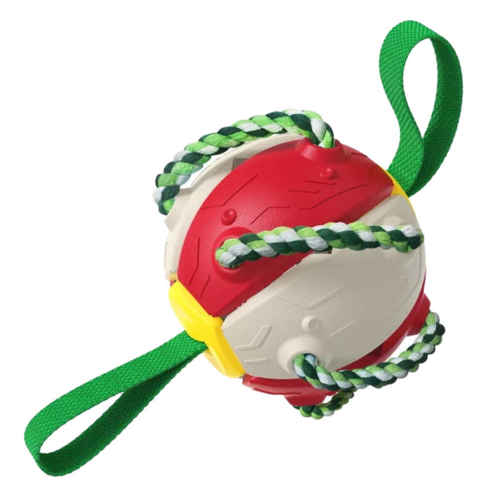 Juguete para perros con bola frisbee