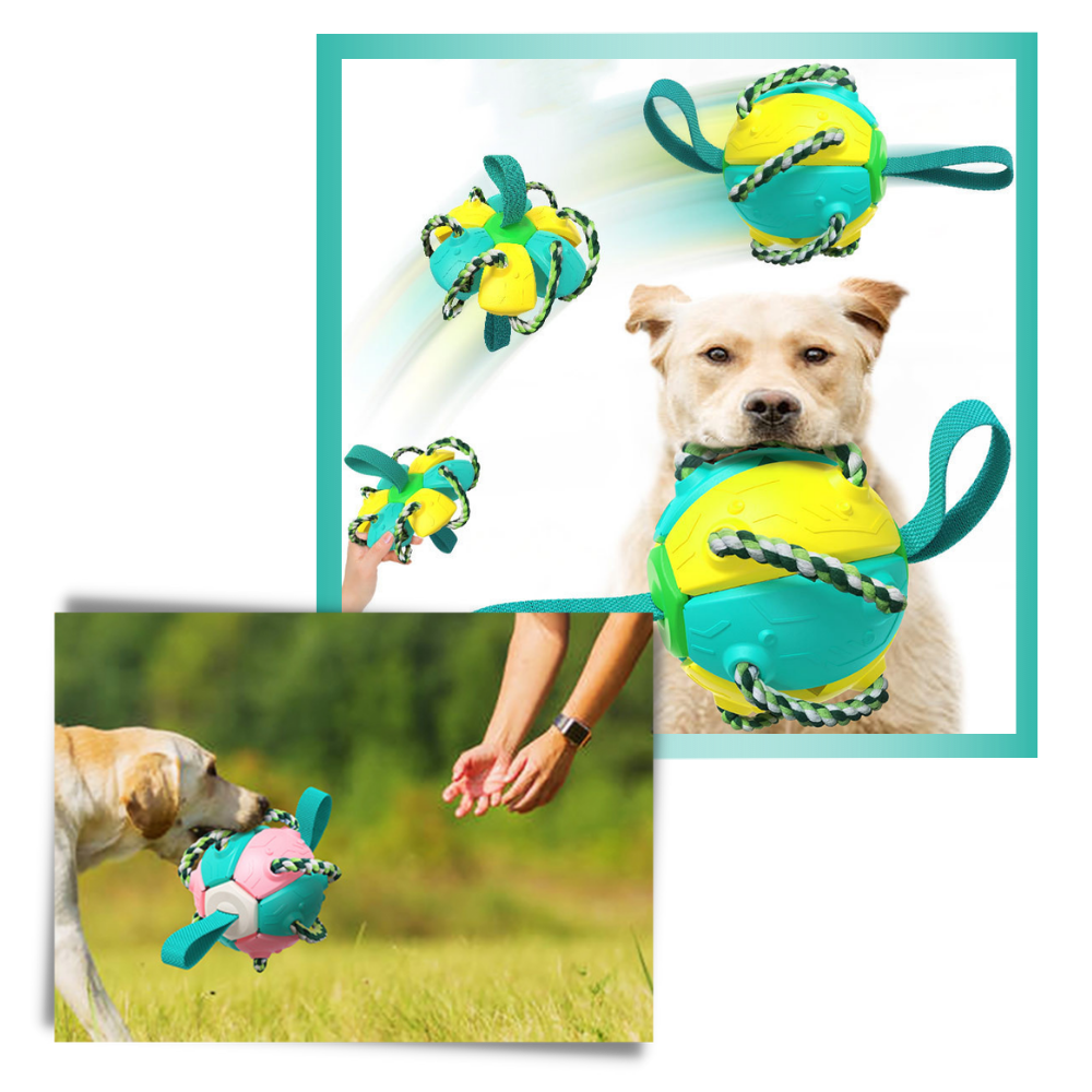 Juguete para perros con bola frisbee - Ozerty