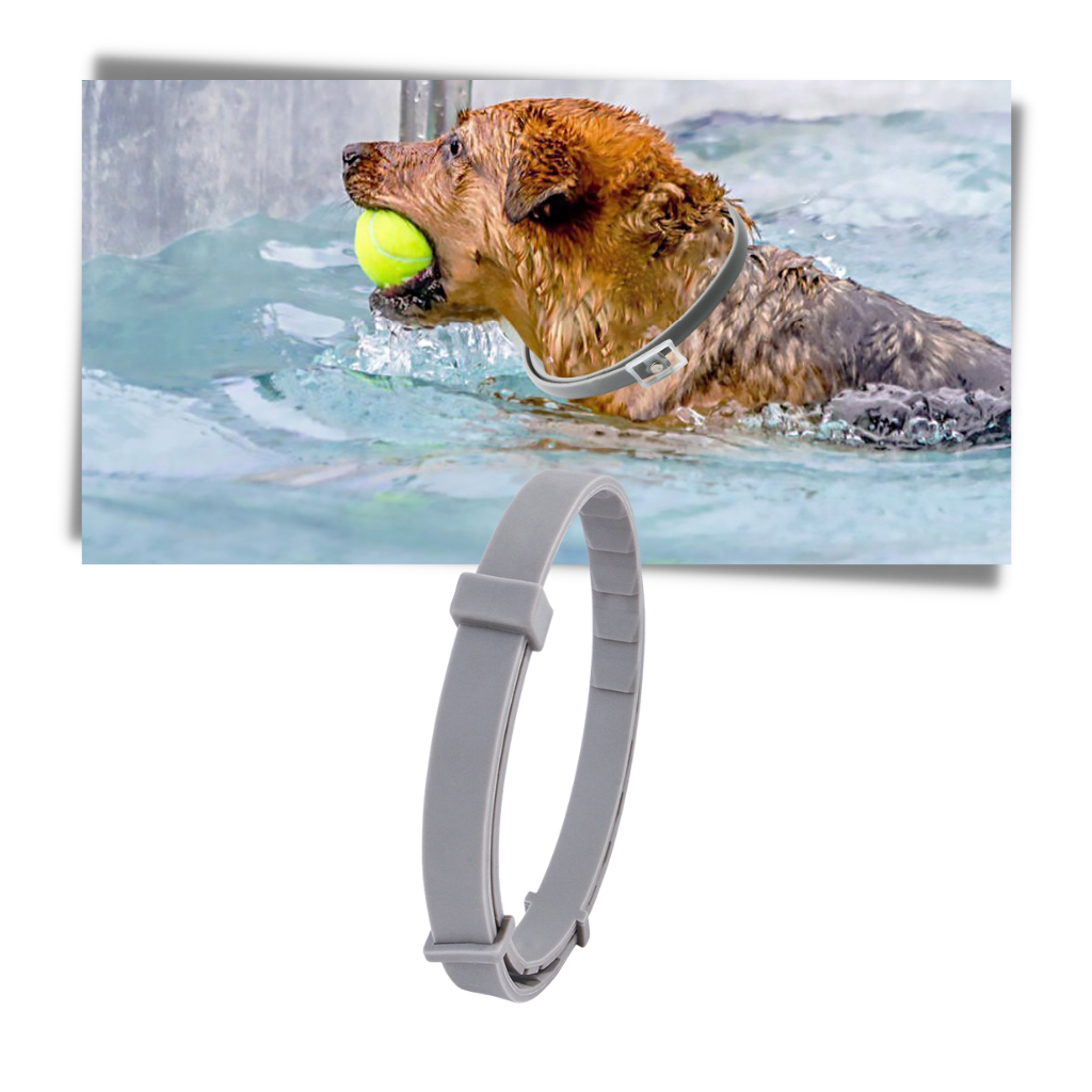 Collar antipulgas para mascotas - Ozerty