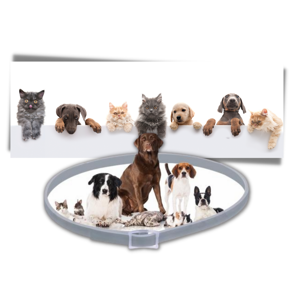 Collar antipulgas para mascotas - Ozerty