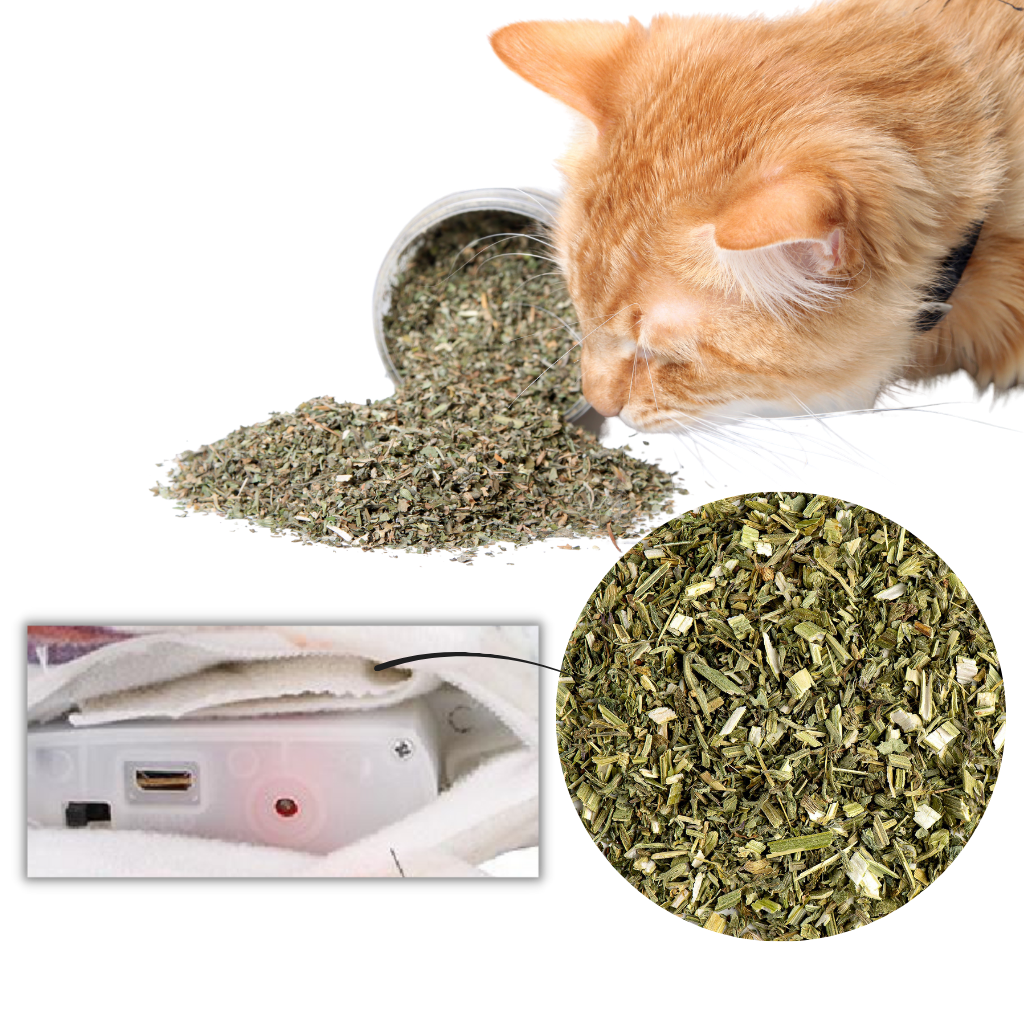 Juguete para gatos Flopping Fish - Ozerty