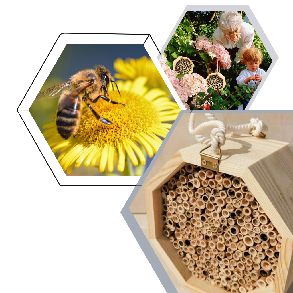 Casa de abejas hexagonal de madera