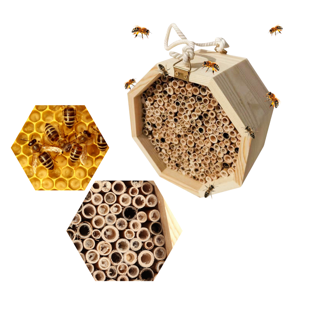 Casa de abejas hexagonal de madera