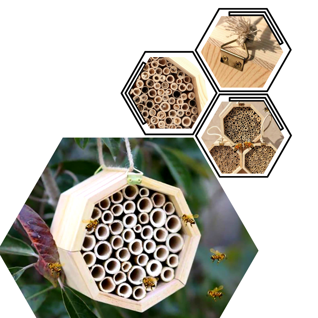 Casa de abejas hexagonal de madera