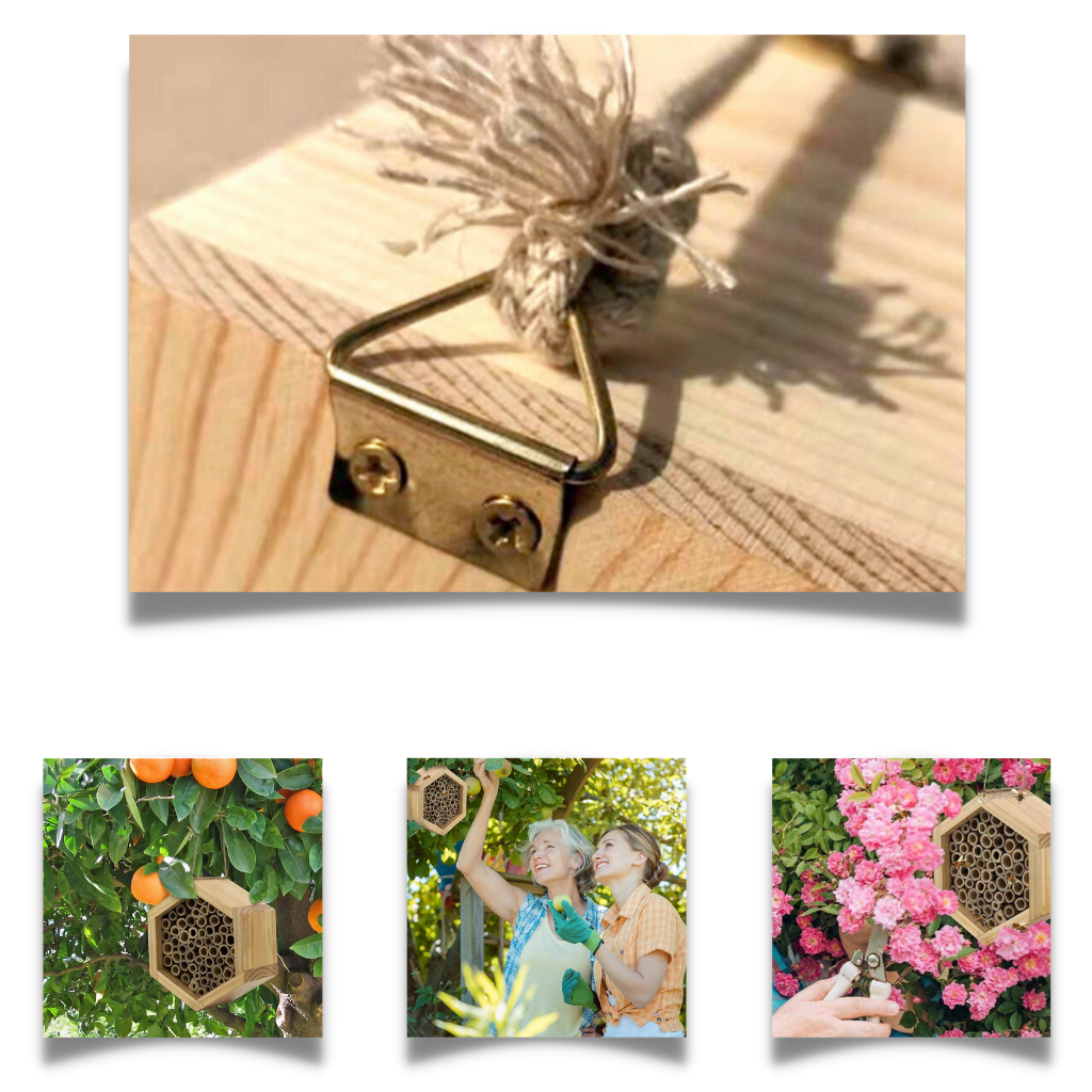 Casa de abejas hexagonal de madera