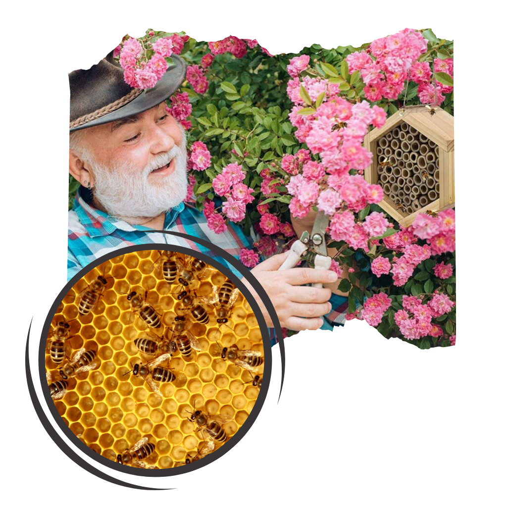 Casa de abejas hexagonal de madera