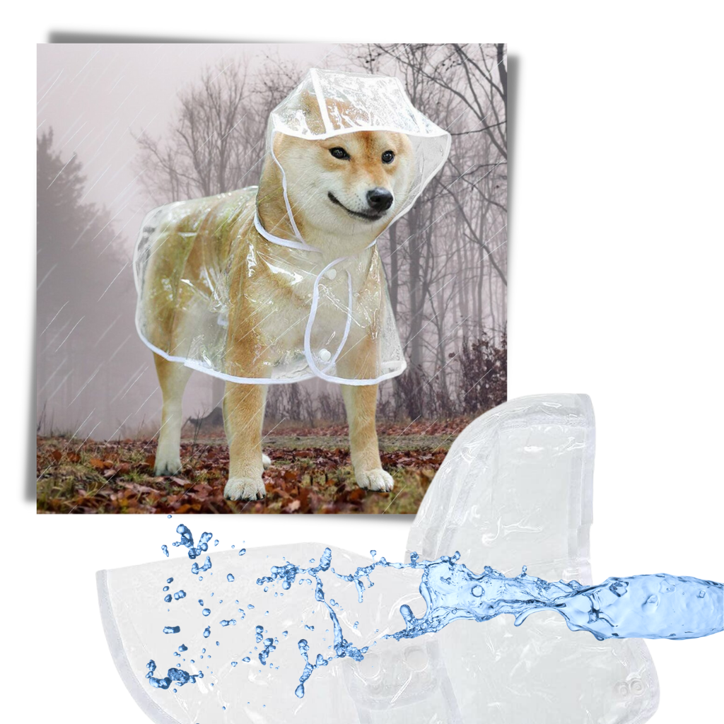Impermeable con capucha para perros - Ozerty