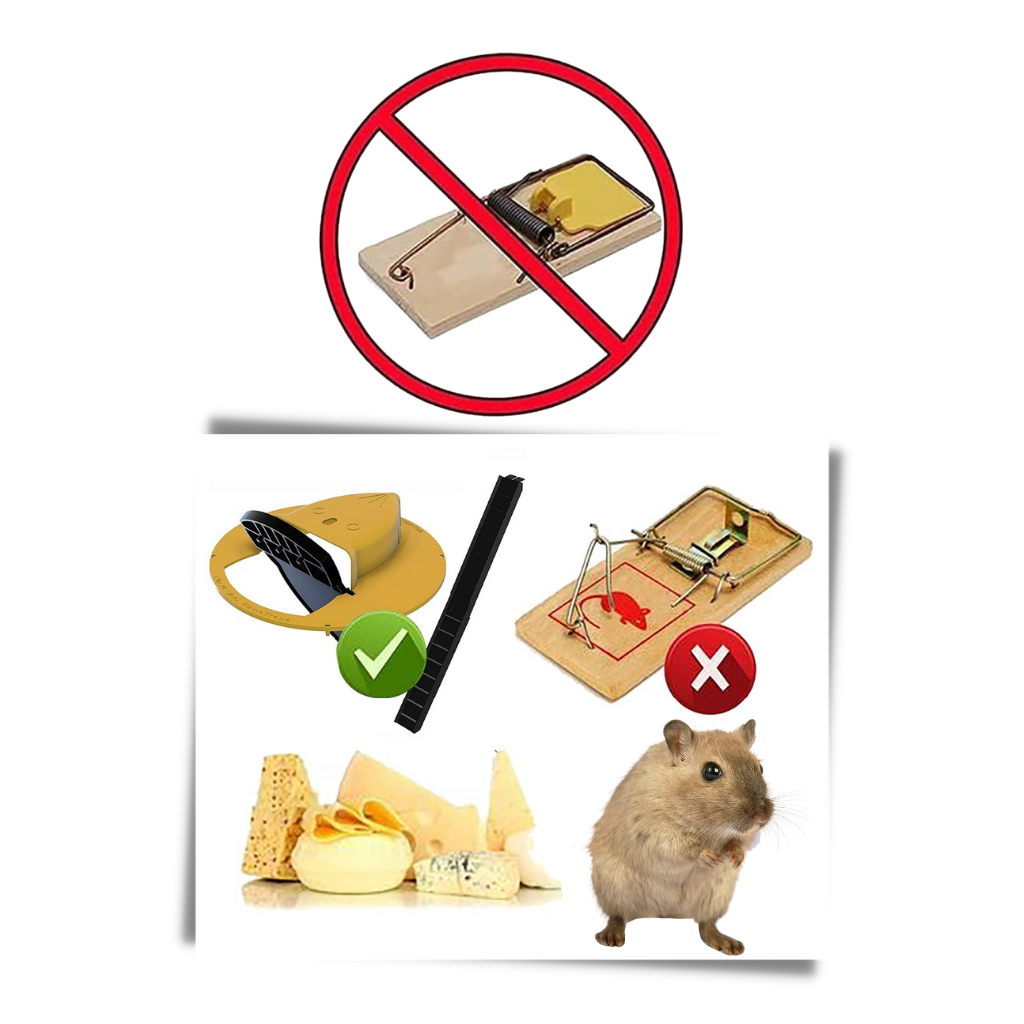 Cubo trampa para ratas y ratones - Ozerty