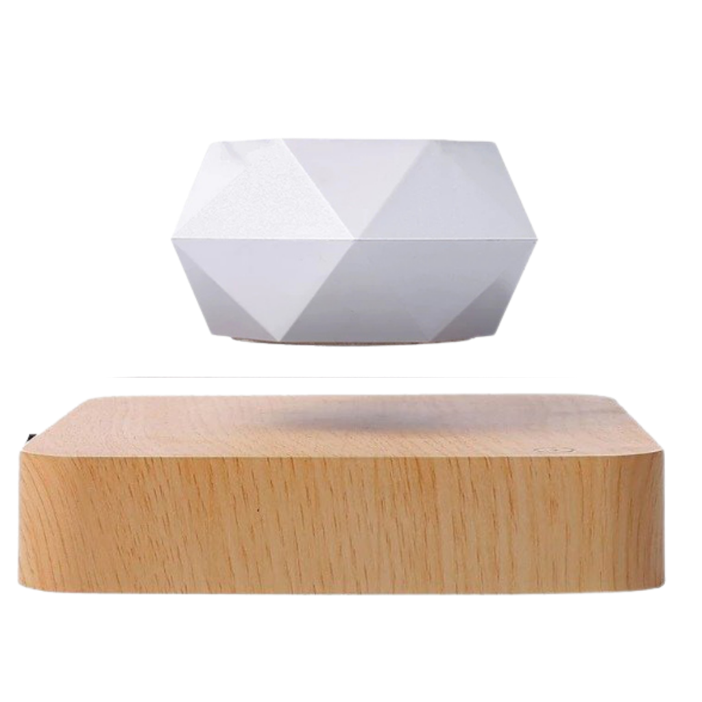 Planta de aire levitante en maceta - Ozerty