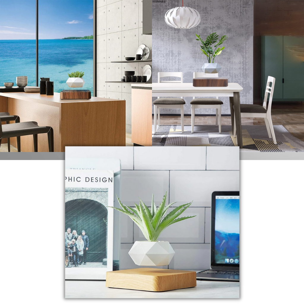 Planta de aire levitante en maceta - Ozerty