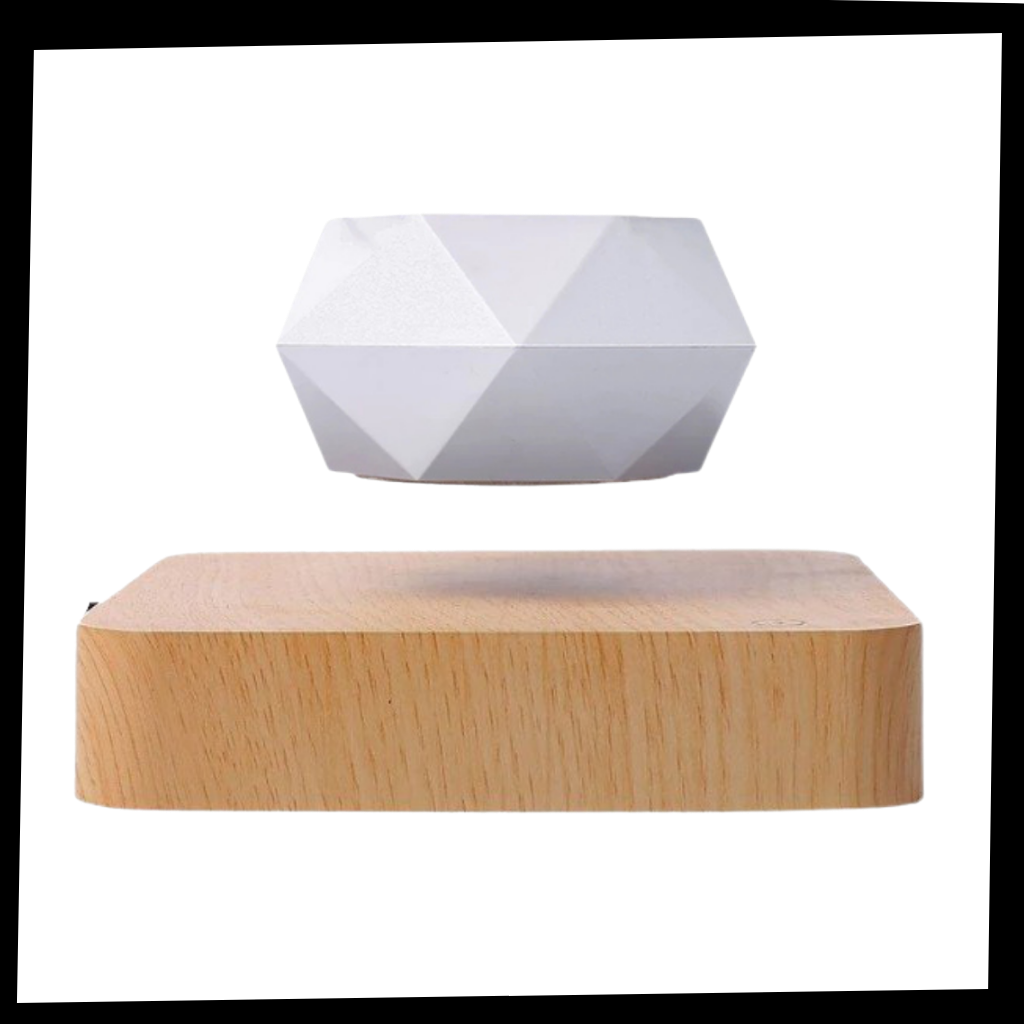 Planta de aire levitante en maceta - Ozerty