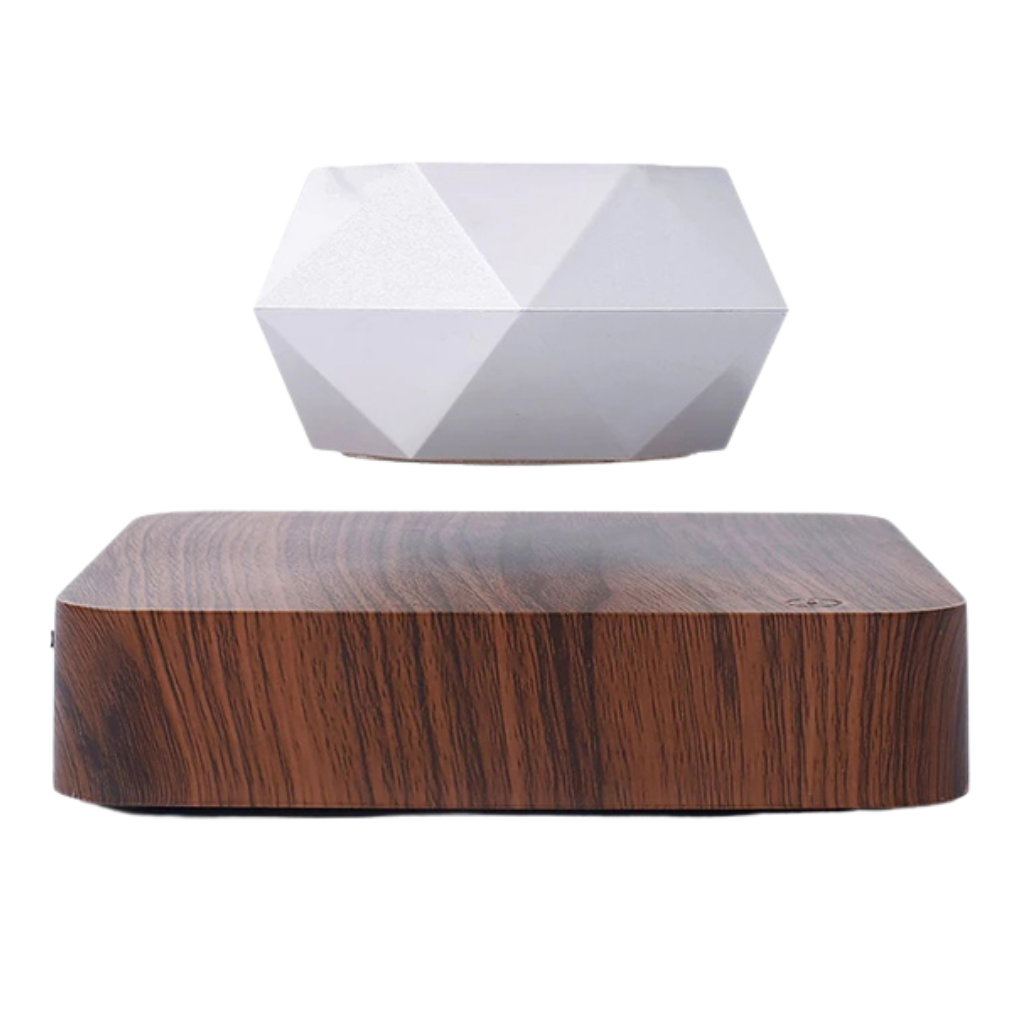 Planta de aire levitante en maceta