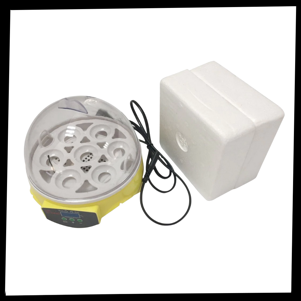 Mini incubadora de huevos