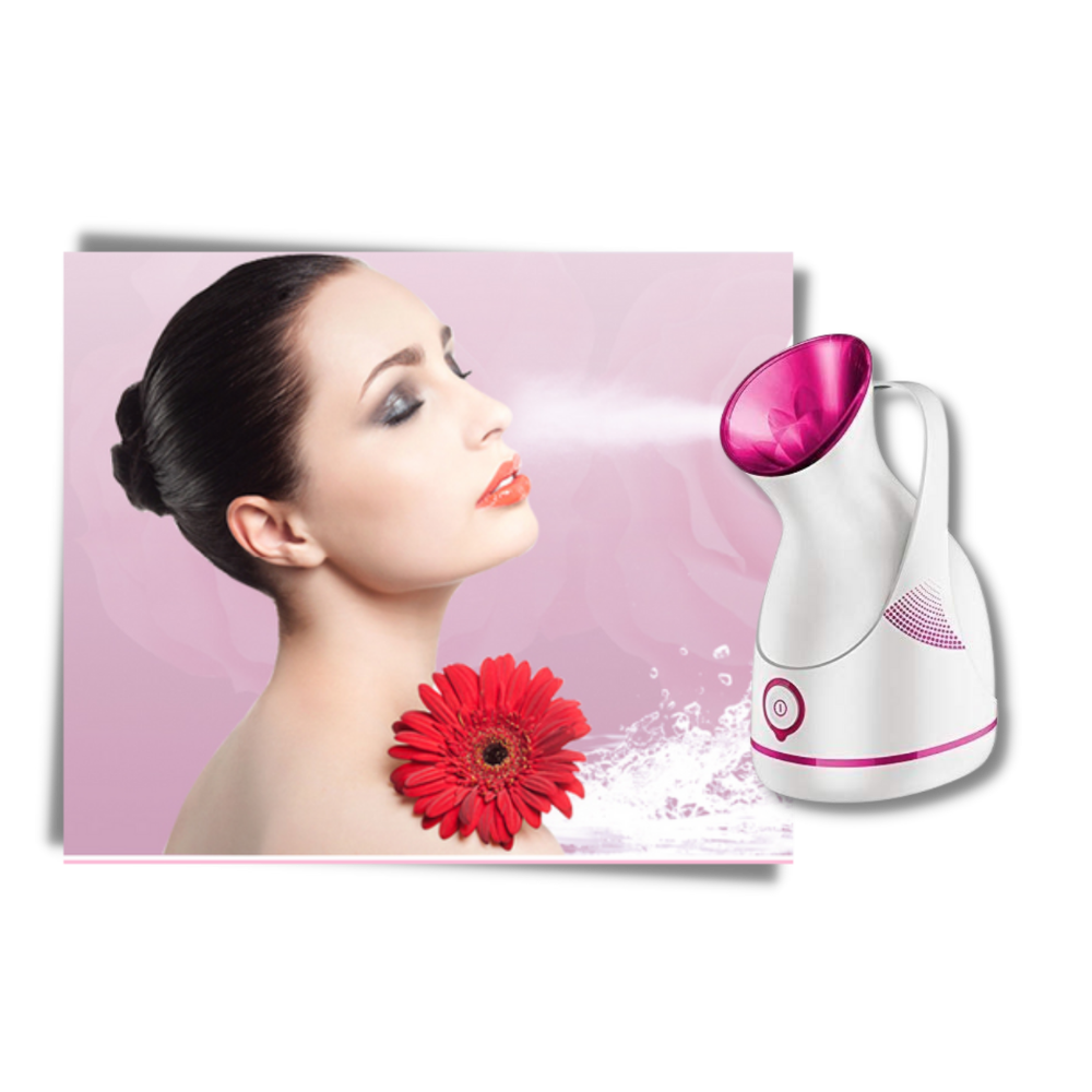 Humidificador facial portátil y sauna - Ozerty