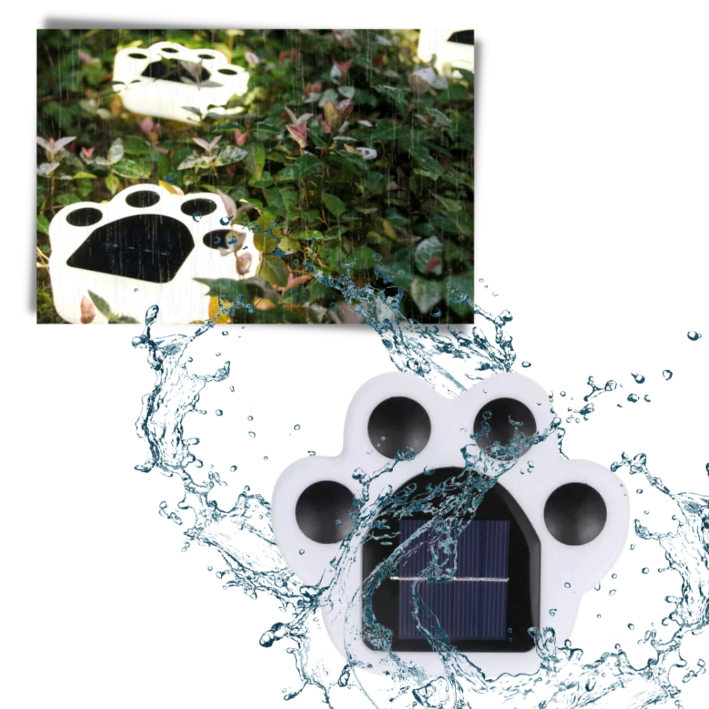 Huellas de luz solar para el camino - Ozerty