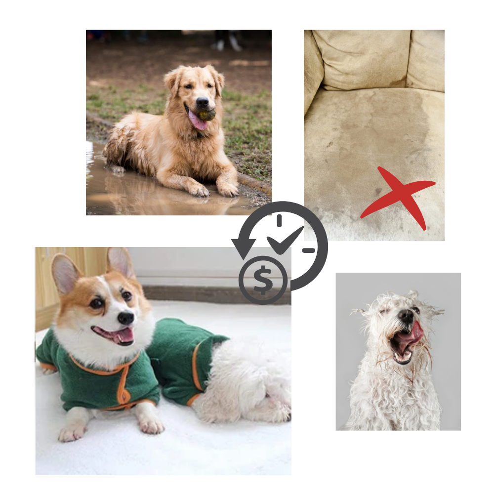 Albornoz superabsorbente para mascotas - Ozerty