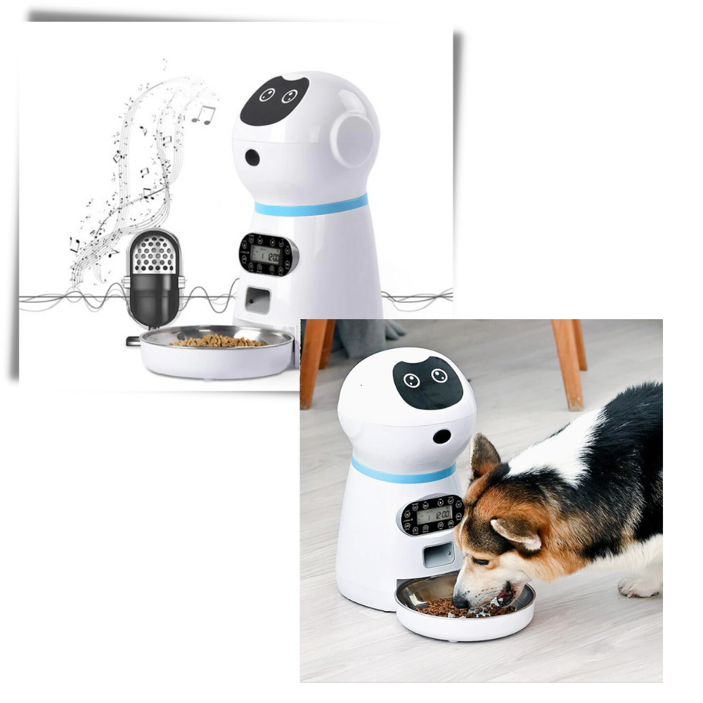 Dispensador automático de comida para mascotas - Ozerty