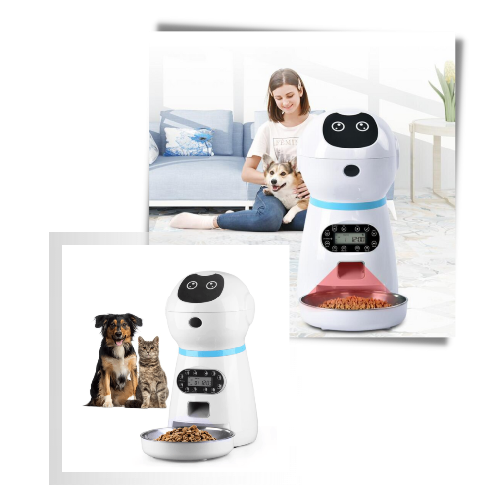 Dispensador automático de comida para mascotas - Ozerty