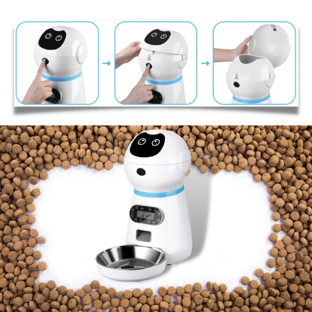 Dispensador automático de comida para mascotas - Ozerty