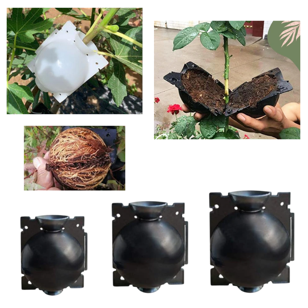 Paquete de 3 cajas para plantas con capas de aire - Ozerty