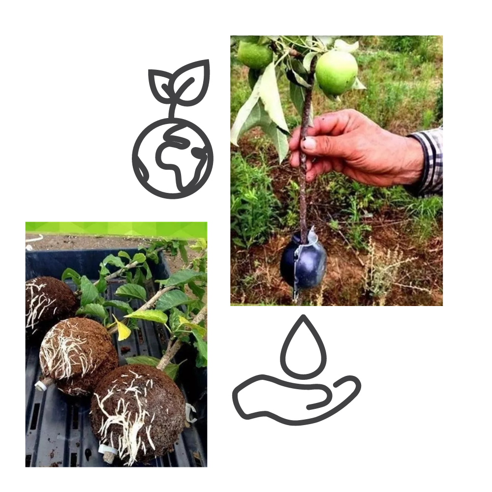 Paquete de 3 cajas para plantas con capas de aire - Ozerty