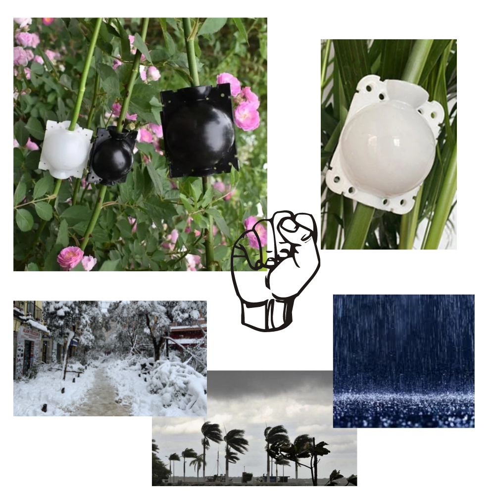 Paquete de 3 cajas para plantas con capas de aire - Ozerty