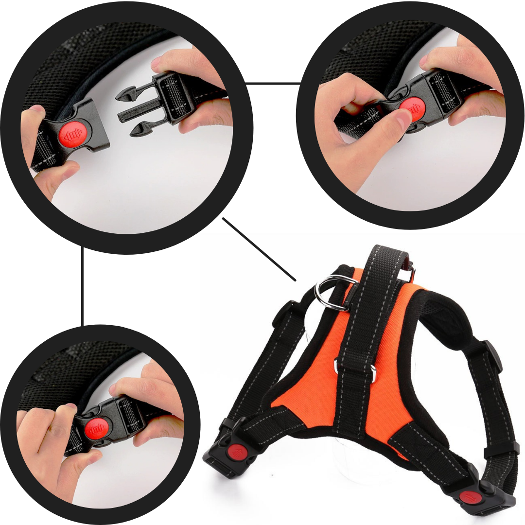 Arnés reflectante para perros con sistema ajustable - Ozerty