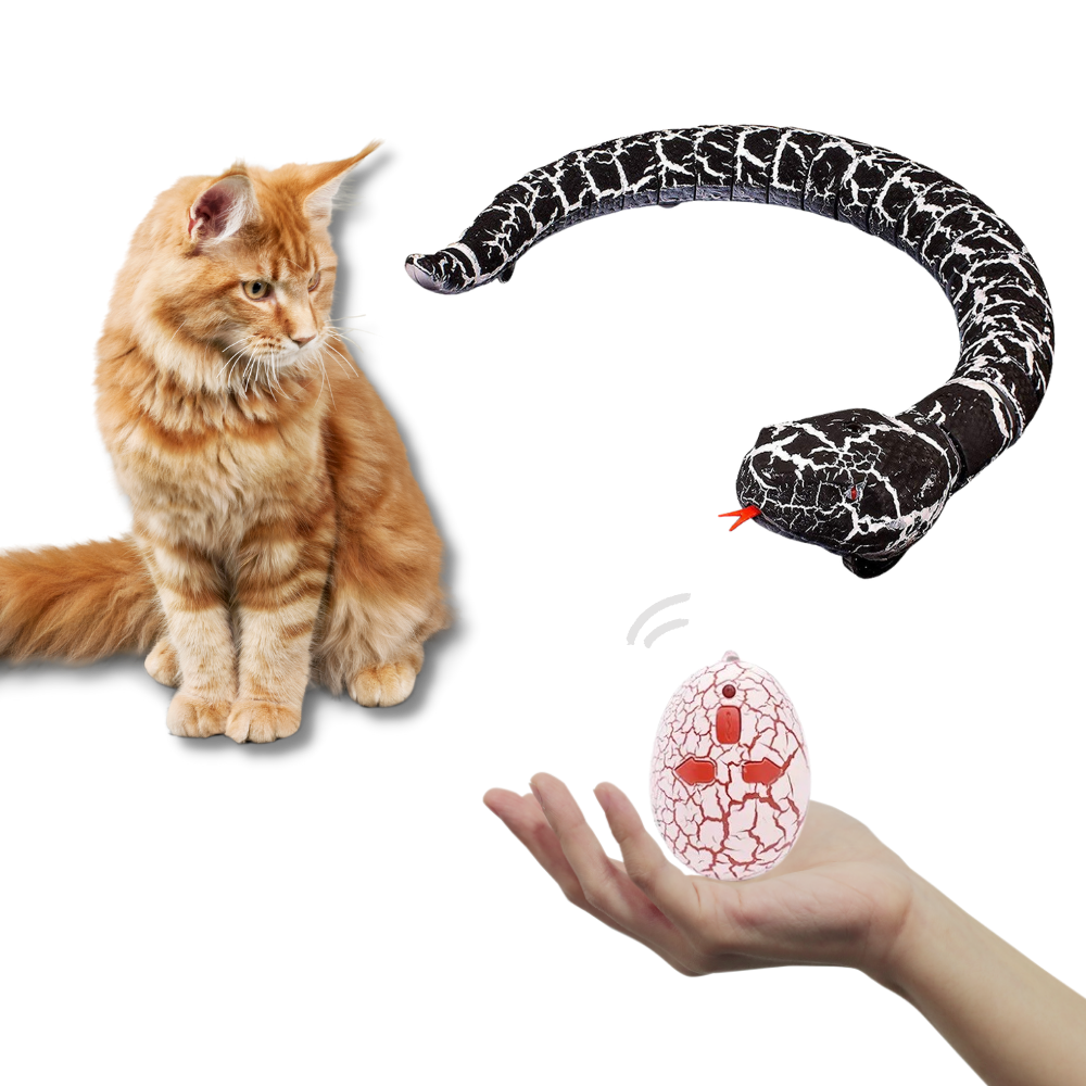 Juguete interactivo para gatos con mando a distancia - Ozerty
