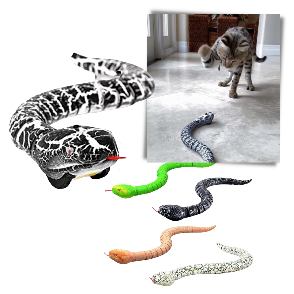 Juguete interactivo para gatos con mando a distancia - Ozerty
