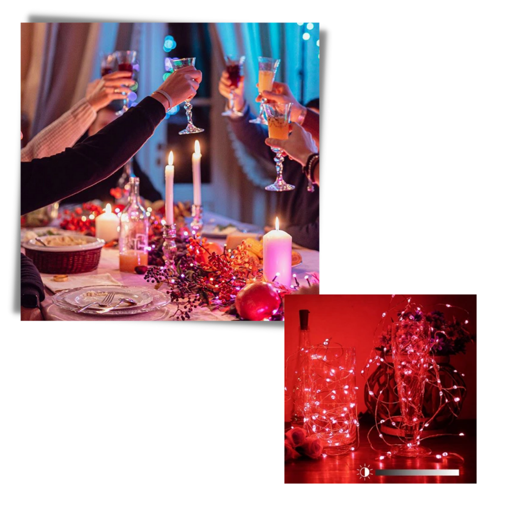 Luces LED en cadena - Ozerty