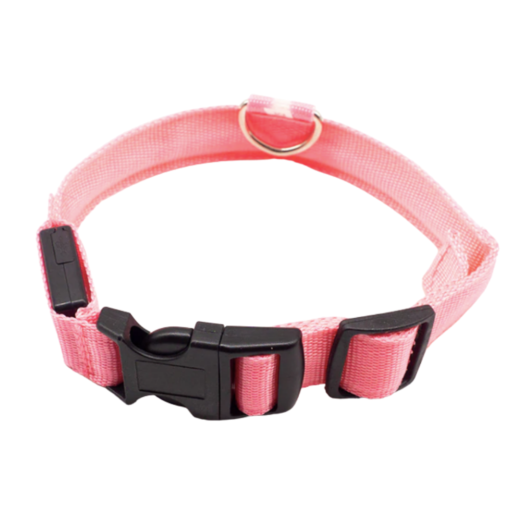 Collar LED para mascotas recargable USB
