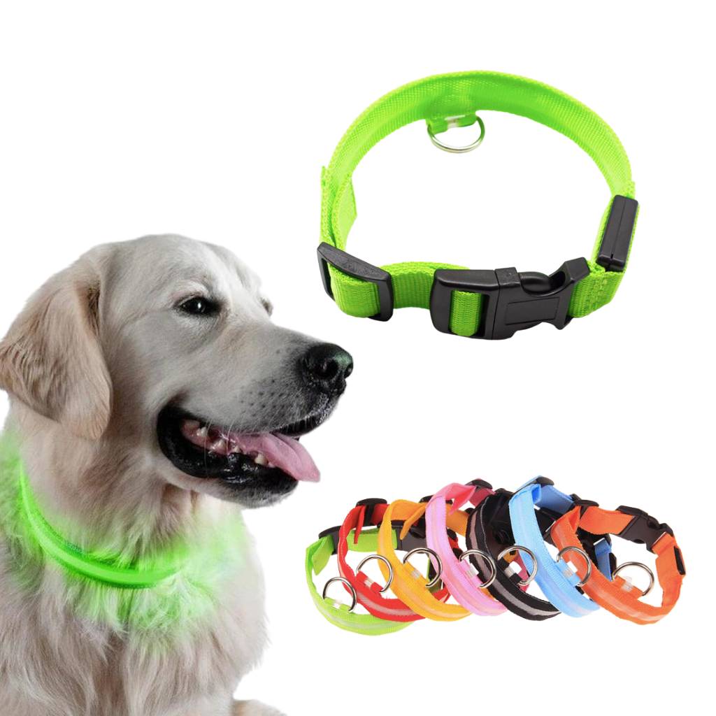 Collar LED para mascotas recargable USB
