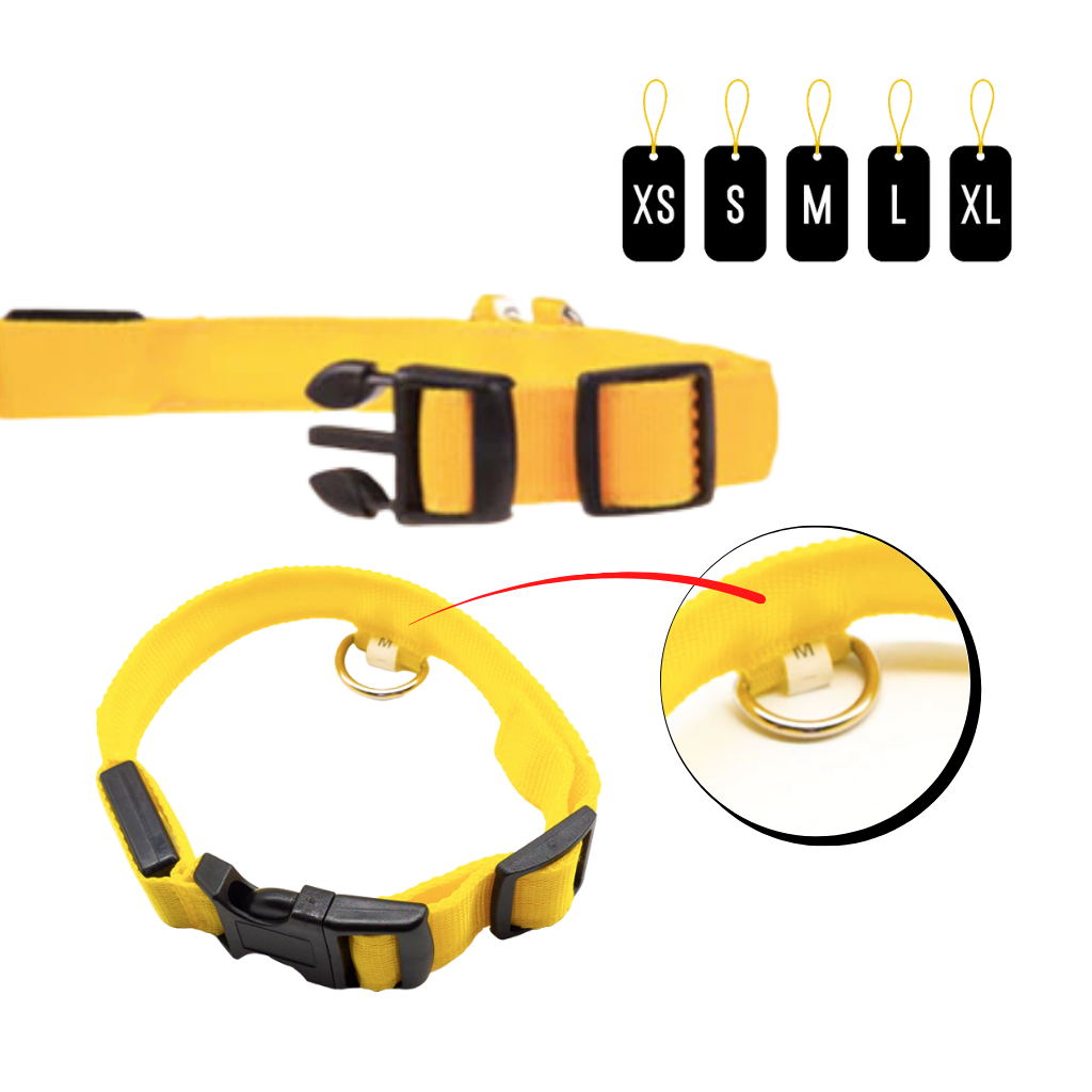 Collar LED para mascotas recargable USB