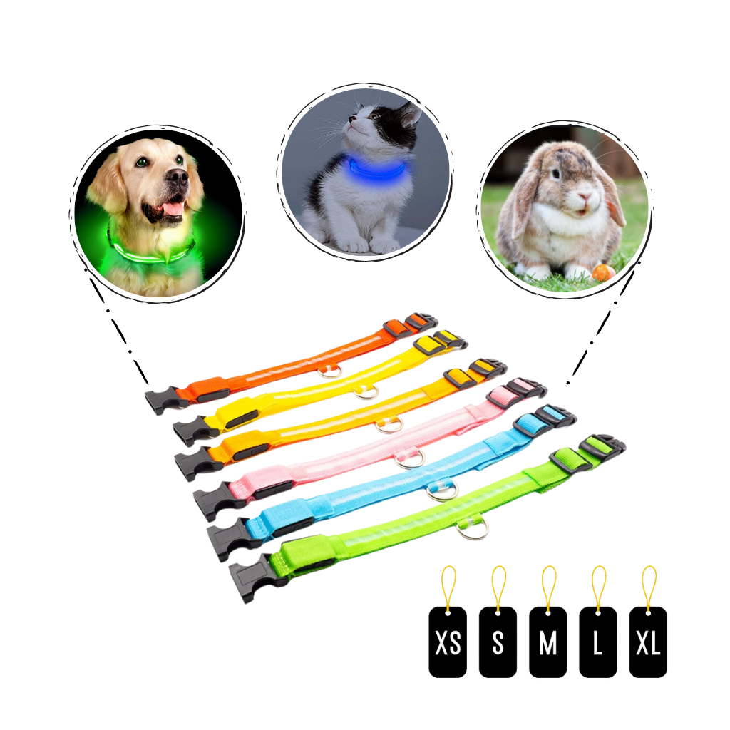 Collar LED para mascotas recargable USB