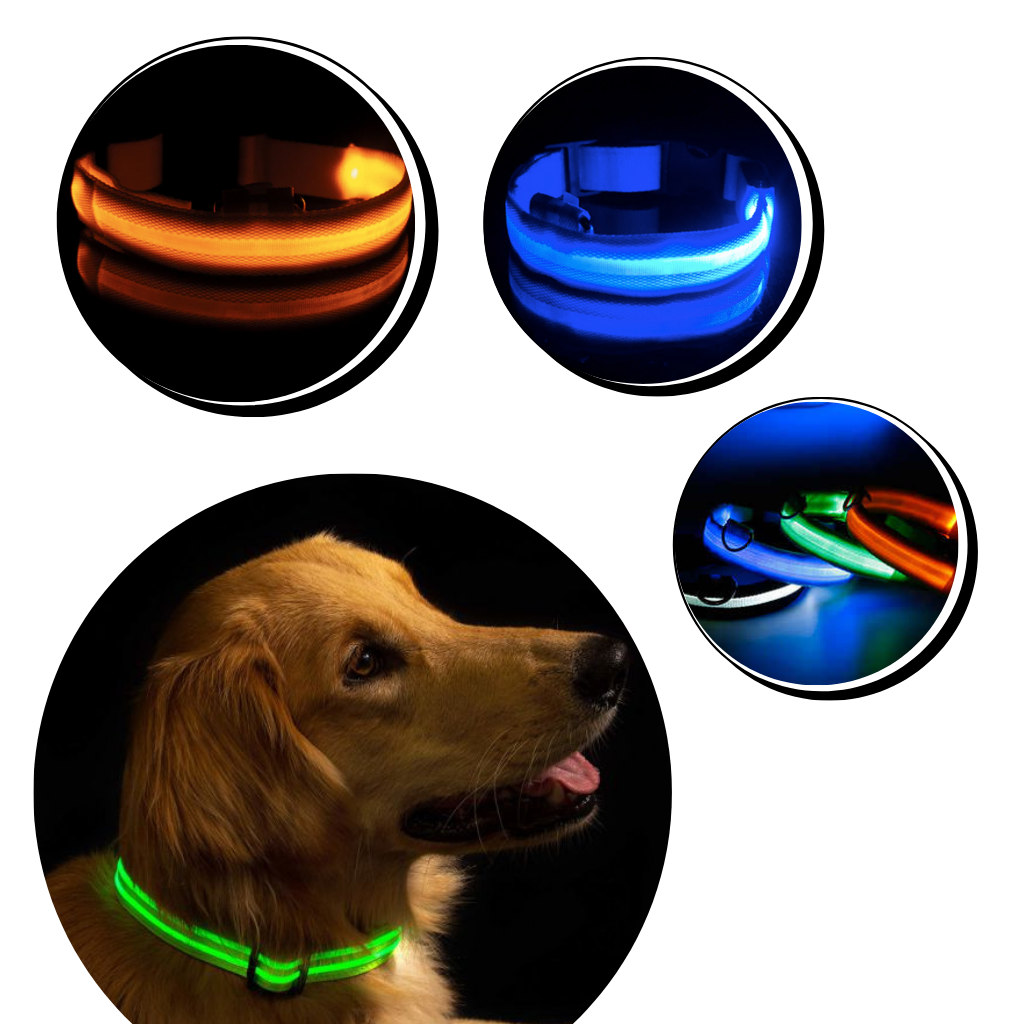 Collar LED para mascotas recargable USB