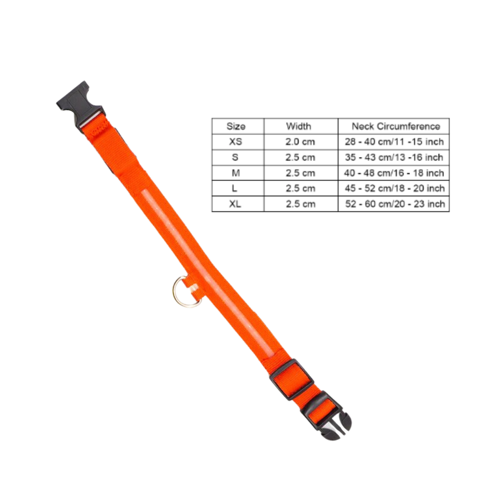 Collar LED para mascotas recargable USB