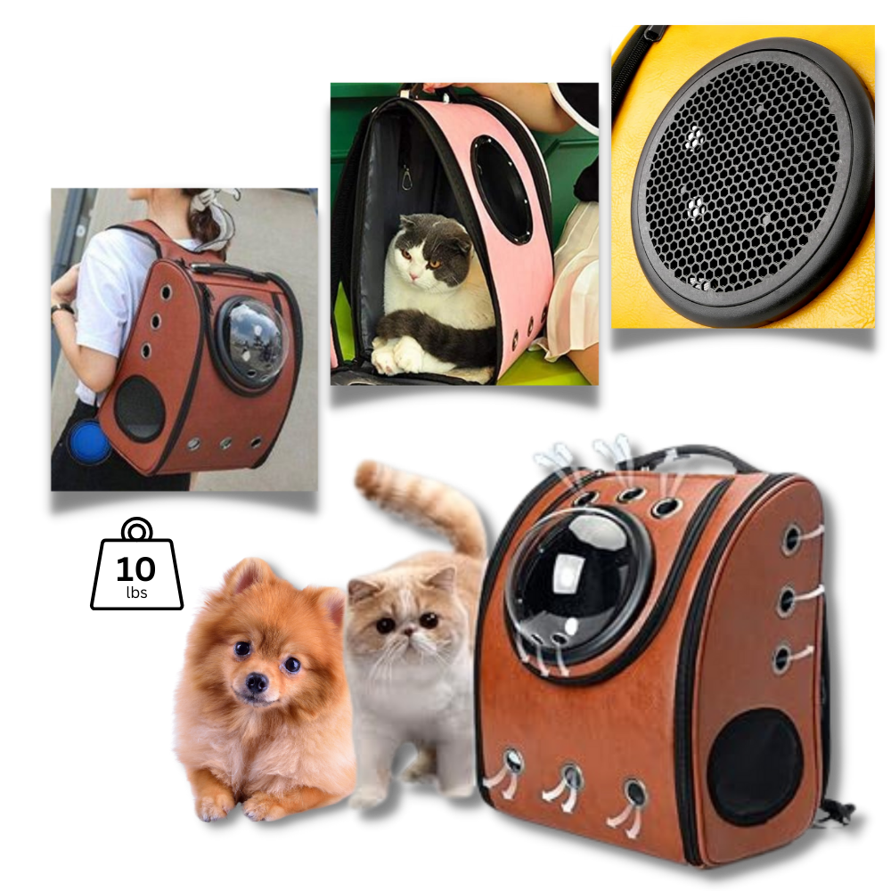 Mochila de viaje para gatos
- Ozerty