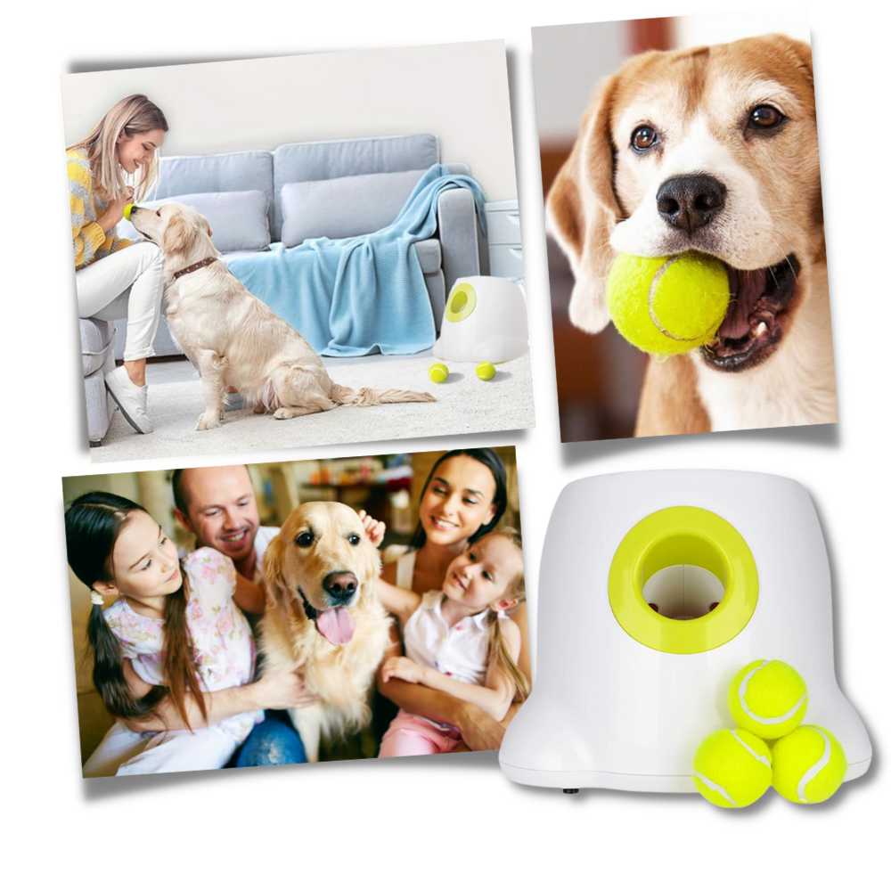 Lanzador automático de pelotas para perros

 - Ozerty